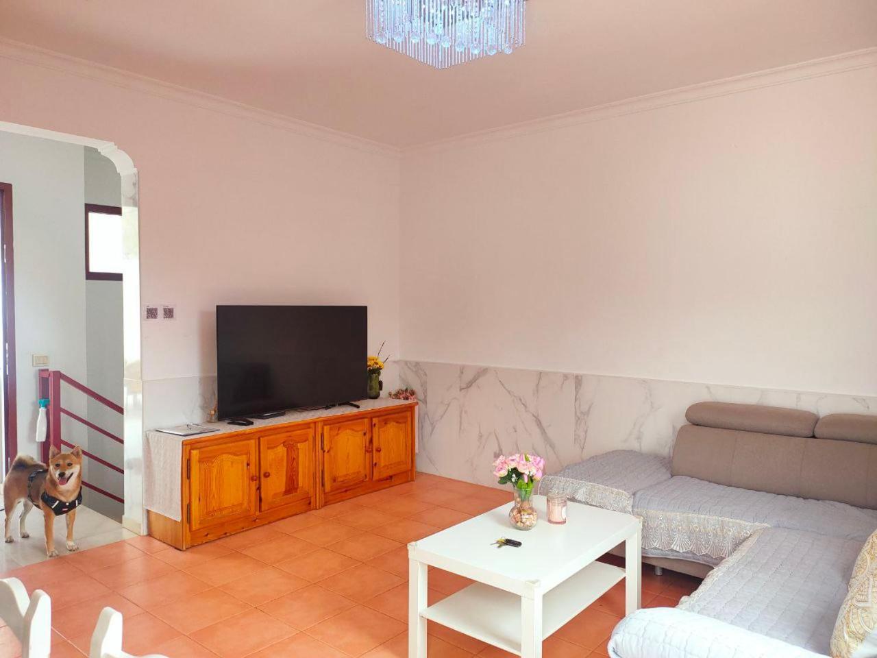 Big Villa Puerto Rico Streetfront With Private Saltwater Jacuzzi Pool, Bbq, Kitchen & 3 Terraces Near Shopping Center Puerto Rico (Gran Canaria) Exterior foto